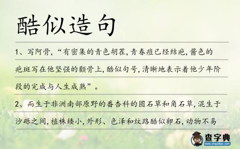 酷似造句