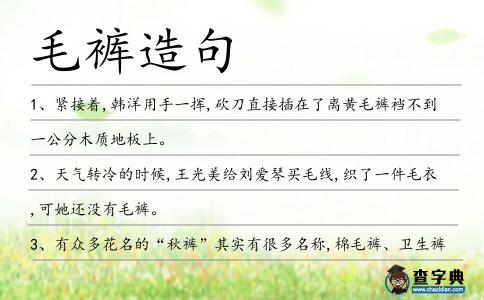 毛褲造句