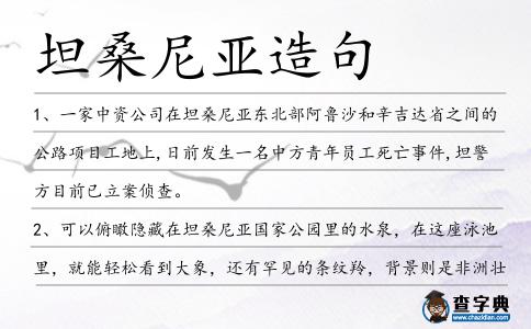坦桑尼亞造句