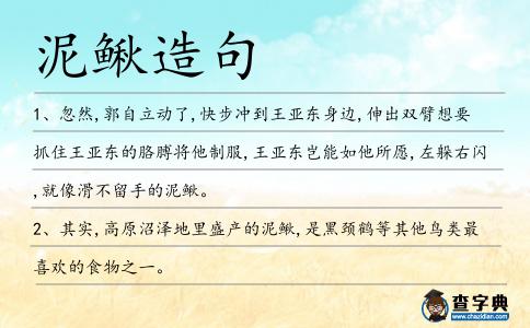 泥鰍造句