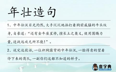 年壯造句