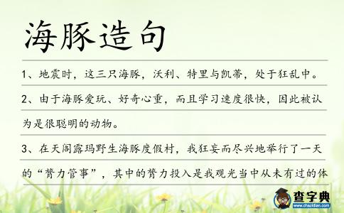 海豚造句