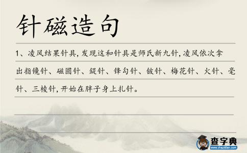 針磁造句