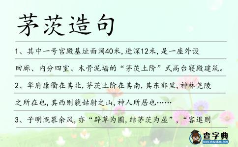 茅茨造句