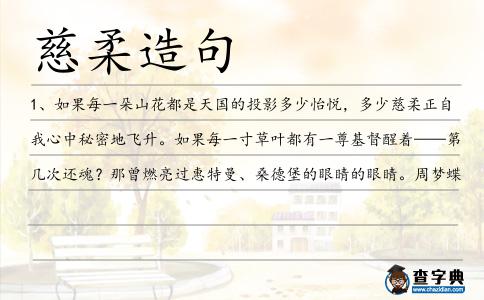 慈柔造句