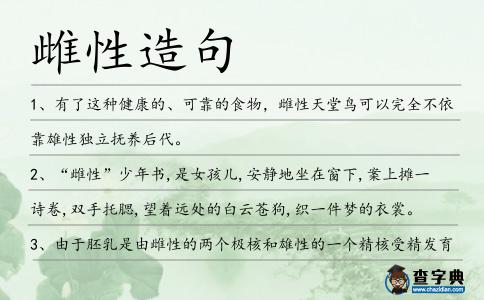 雌性造句