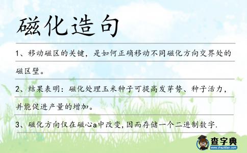 磁化造句