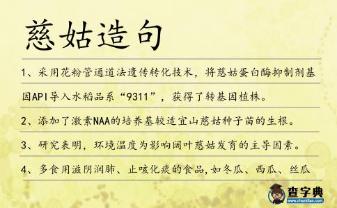 慈姑造句