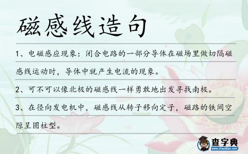 磁感線造句