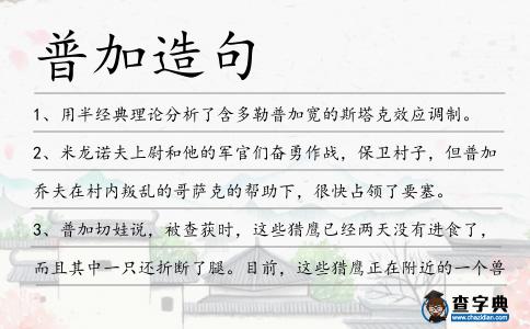普加造句
