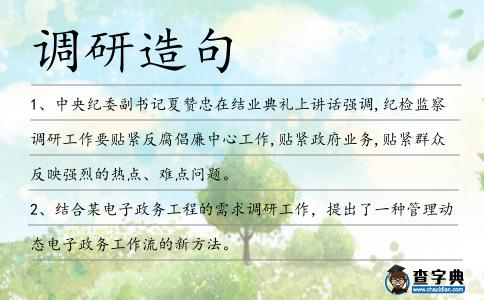 調(diào)研造句