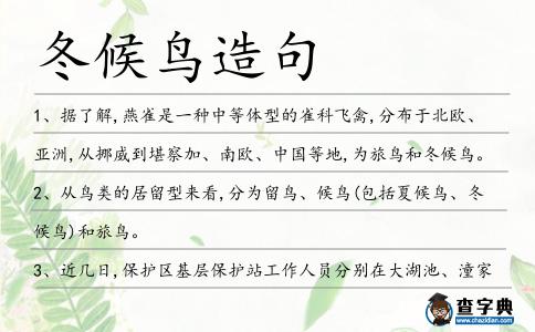 冬候鳥造句