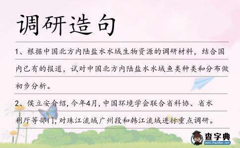 調(diào)研造句