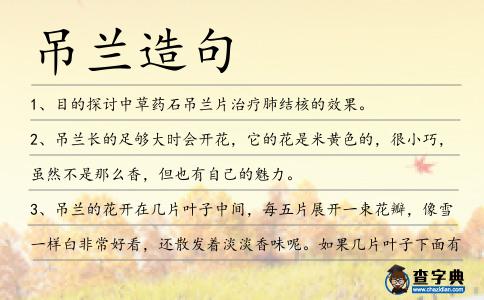 吊蘭造句