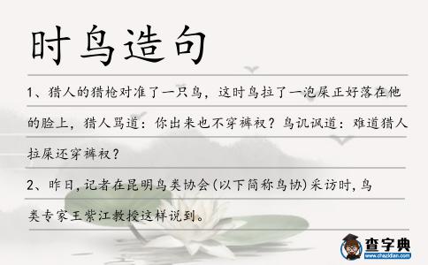 時(shí)鳥(niǎo)造句