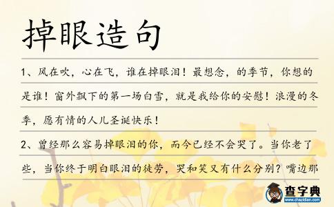 掉眼造句