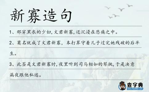 新寡造句