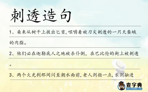 刺透造句