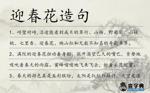 迎春花造句