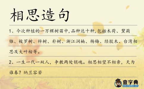 相思造句