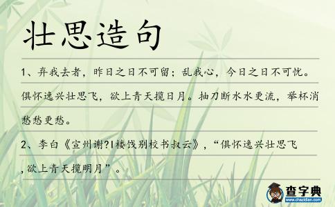 壯思造句