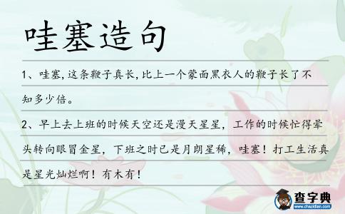 哇塞造句