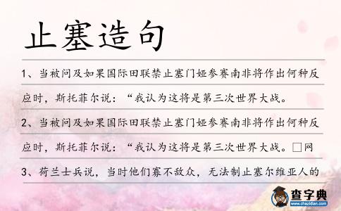 止塞造句