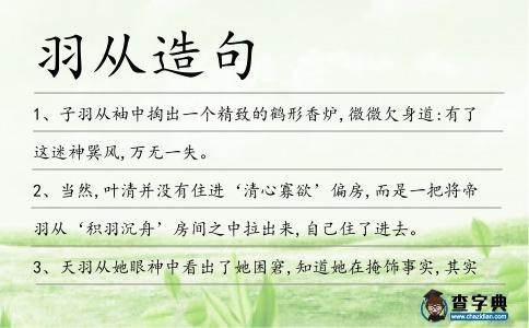 羽從造句