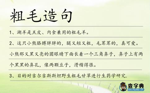 粗毛造句