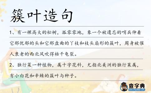 簇葉造句