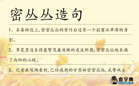 密叢叢造句