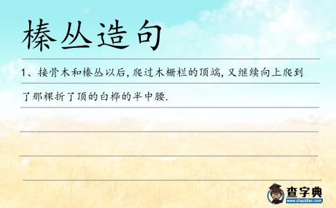 榛叢造句