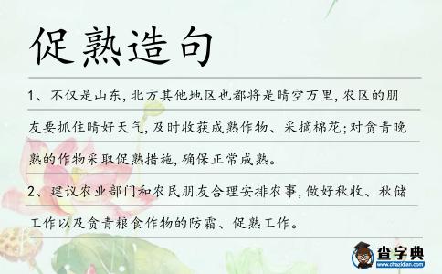 促熟造句