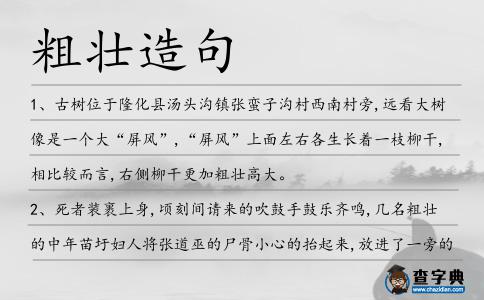 粗壯造句