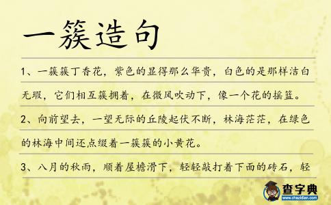 一簇造句