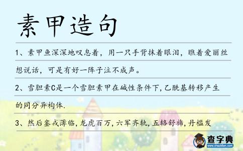 素甲造句