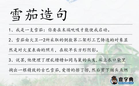 雪茄造句