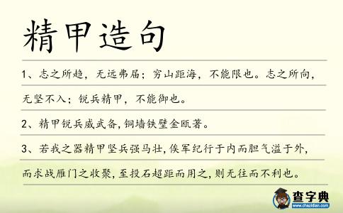 精甲造句