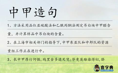 中甲造句