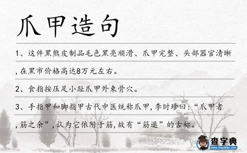 爪甲造句