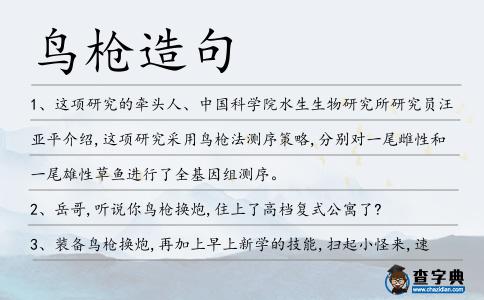 鳥(niǎo)槍造句