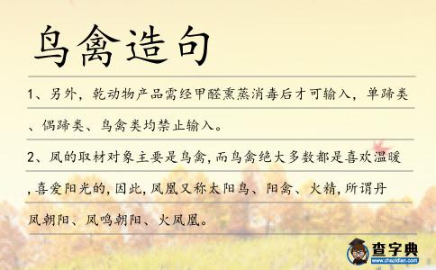 鳥禽造句