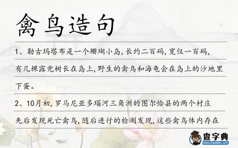 禽鳥造句