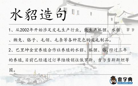 水貂造句
