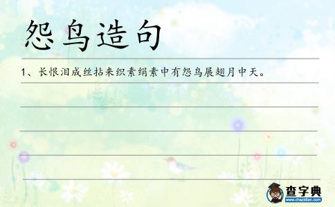 怨鳥造句