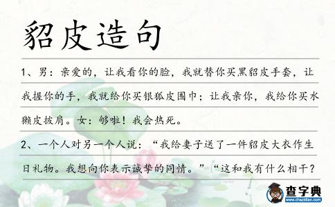 貂皮造句
