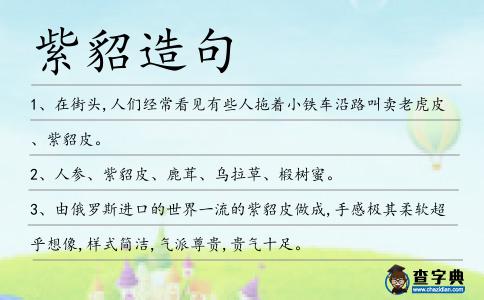 紫貂造句