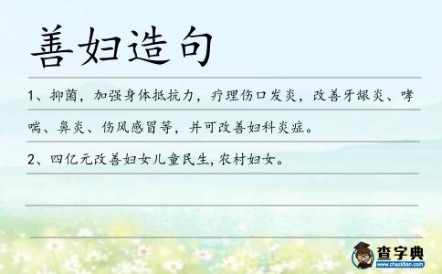 善婦造句