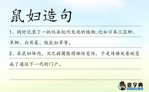 鼠婦造句