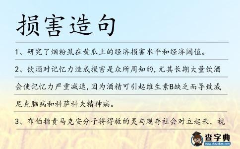 損害造句